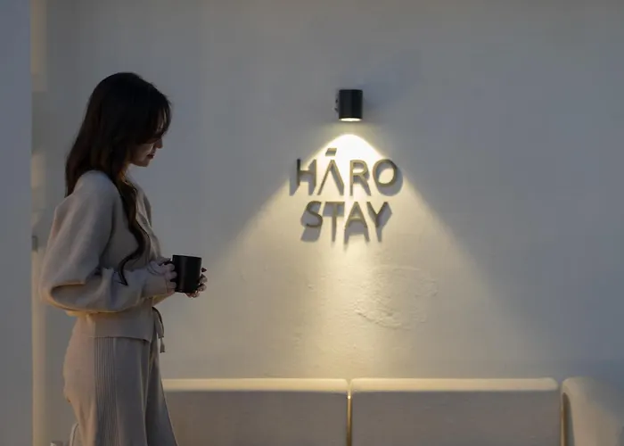 Hotel 하로스테이 신사점 Seul